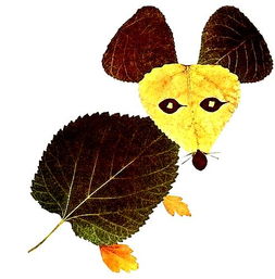 【招募令】小記者第六場主題活動“遇見秋天”系列之“樹葉粘貼”等你挑戰！